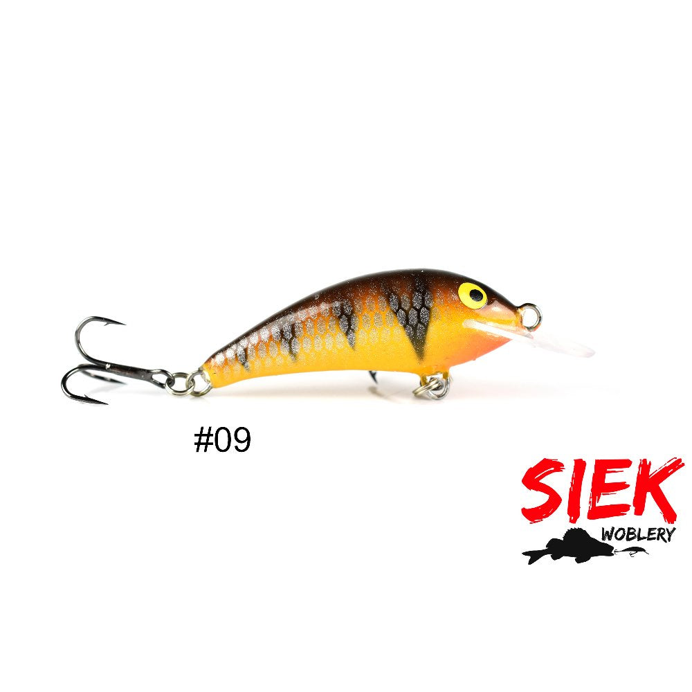 Siek Baczek 09