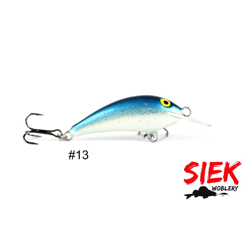 Siek Baczek 13
