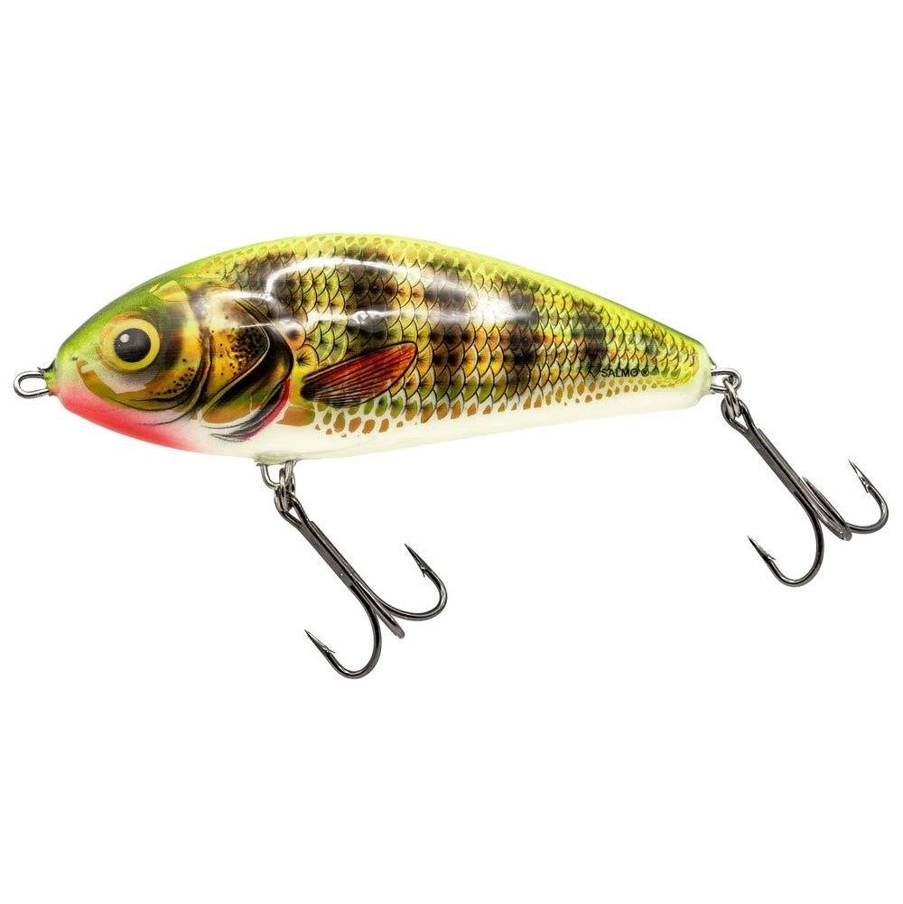 Salmo Fatso Holographic Perch