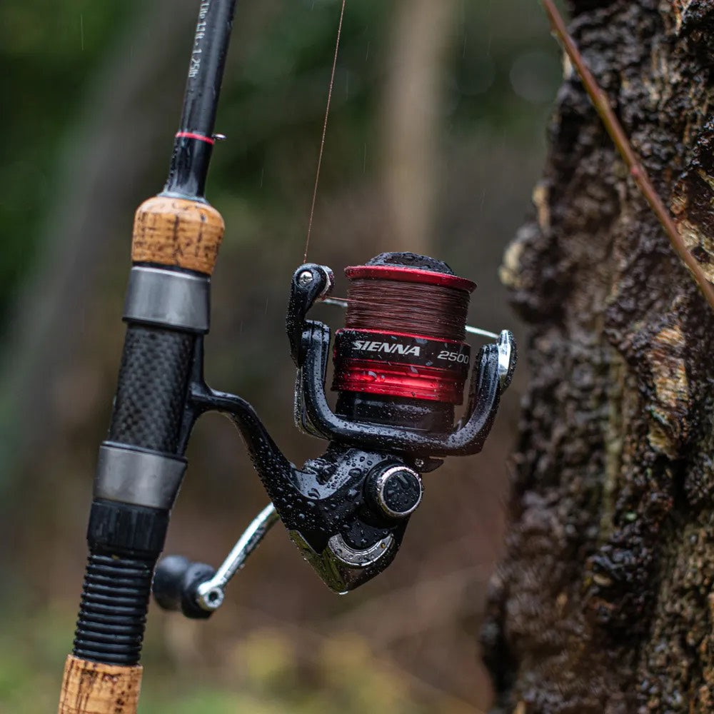 Shimano Sienna Reel detail 6