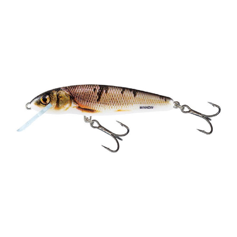 Salmo Minnow Wounded Dace