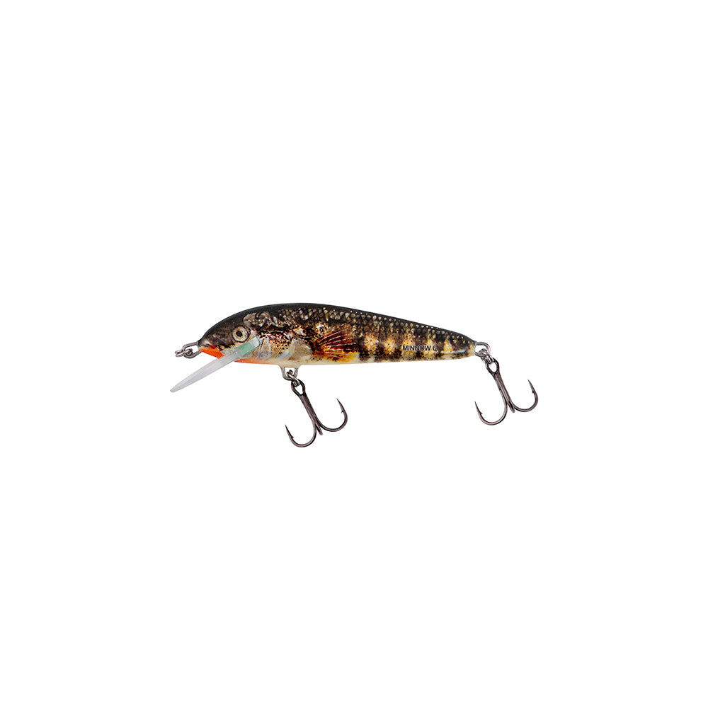 Salmo Minnow Holo Stickleback