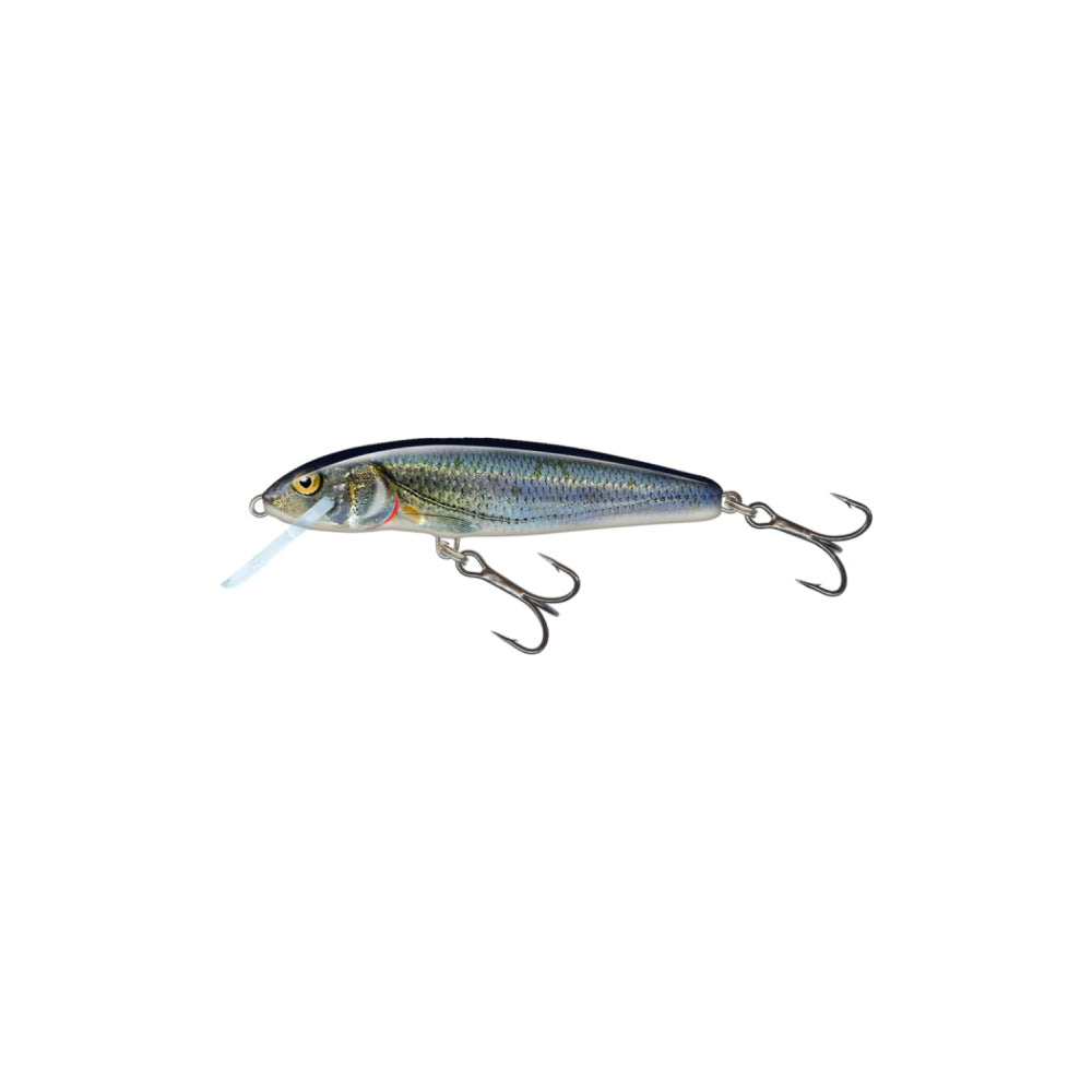 Salmo Minnow Spirlin