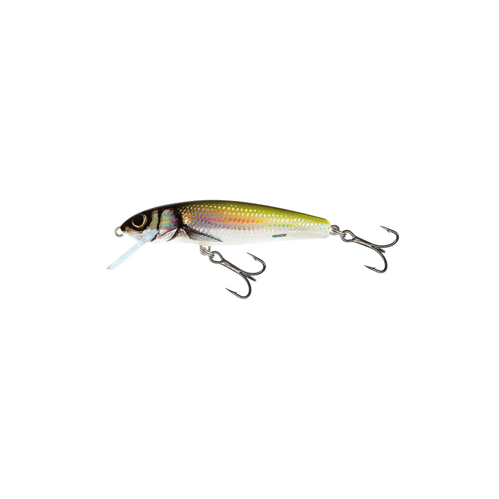 Salmo Minnow Holo Bleak