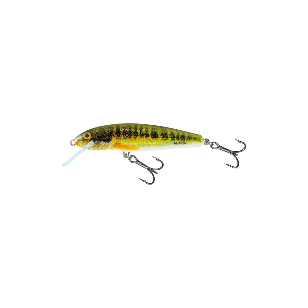 Salmo Minnow Holo Real Minnow