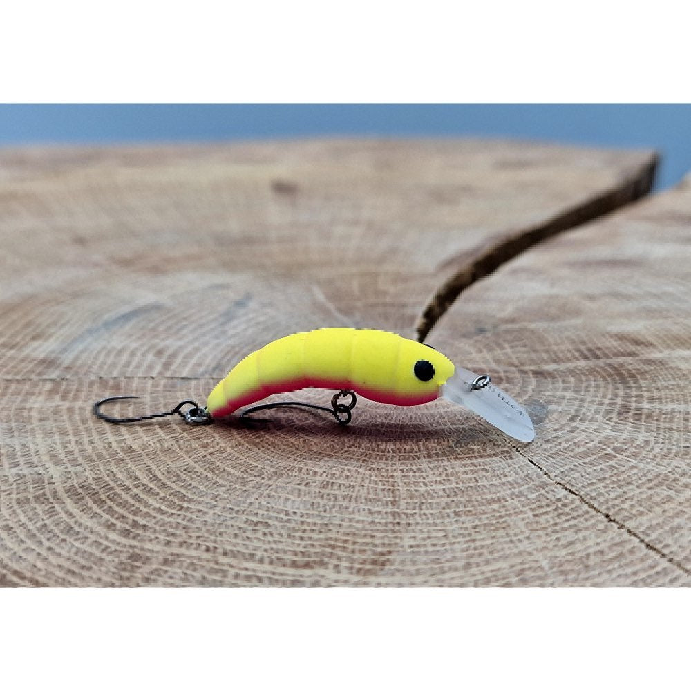 Herakles Moth Chartreuse Shocking Sinking