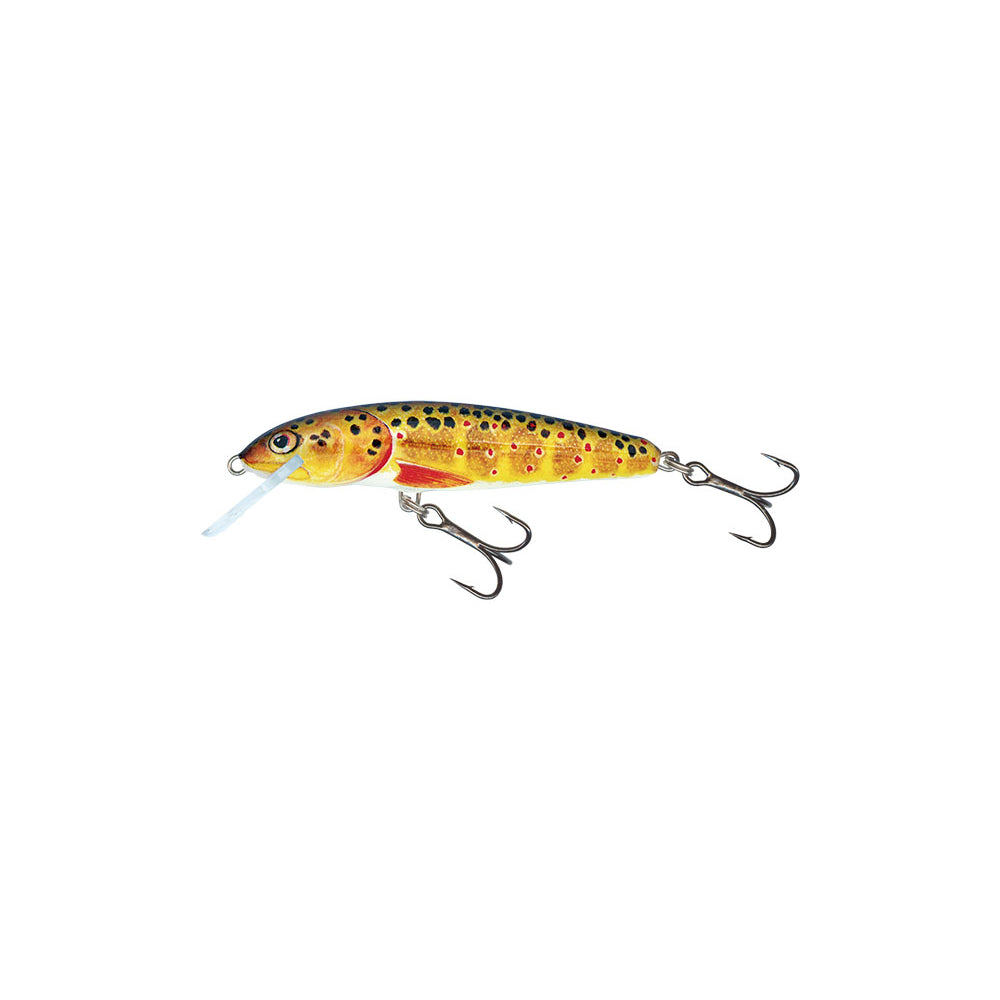 Salmo Minnow Trout