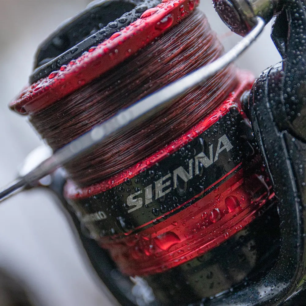 Shimano Sienna Reel detail 7