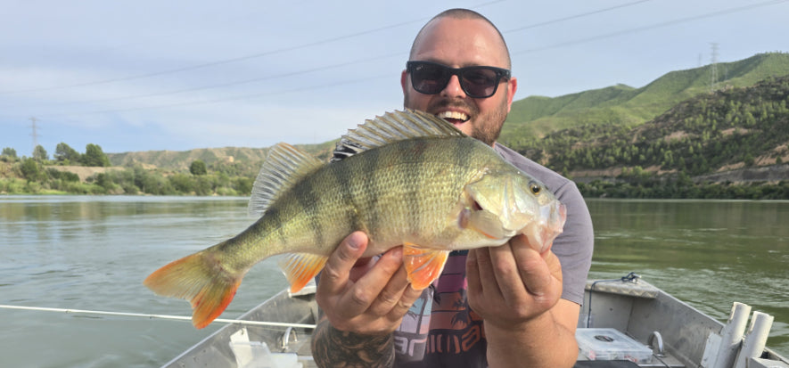 Spanish Perch on the Ebro  Heavy Lures, Rocky Spots and Battles with Giants