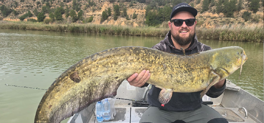 Spanish Catfish on Spinning – The Ebro in October