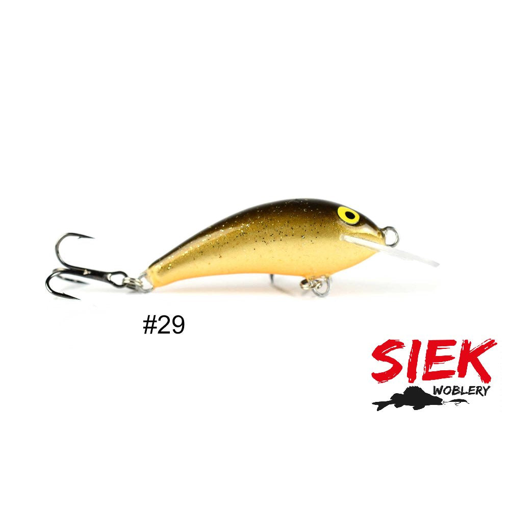 Siek Baczek 29