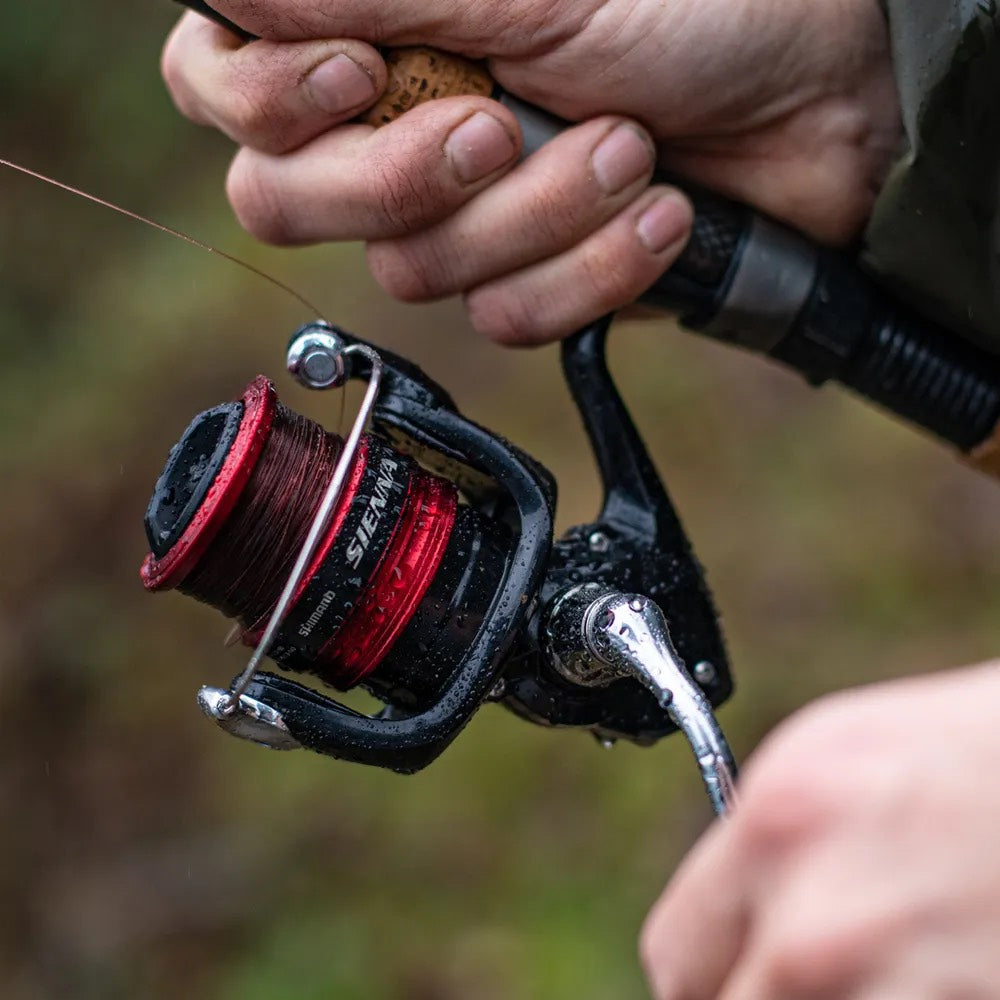 Shimano Sienna Reel detail 2