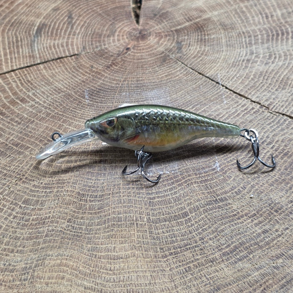 FishTank Charlie Olive Shadow