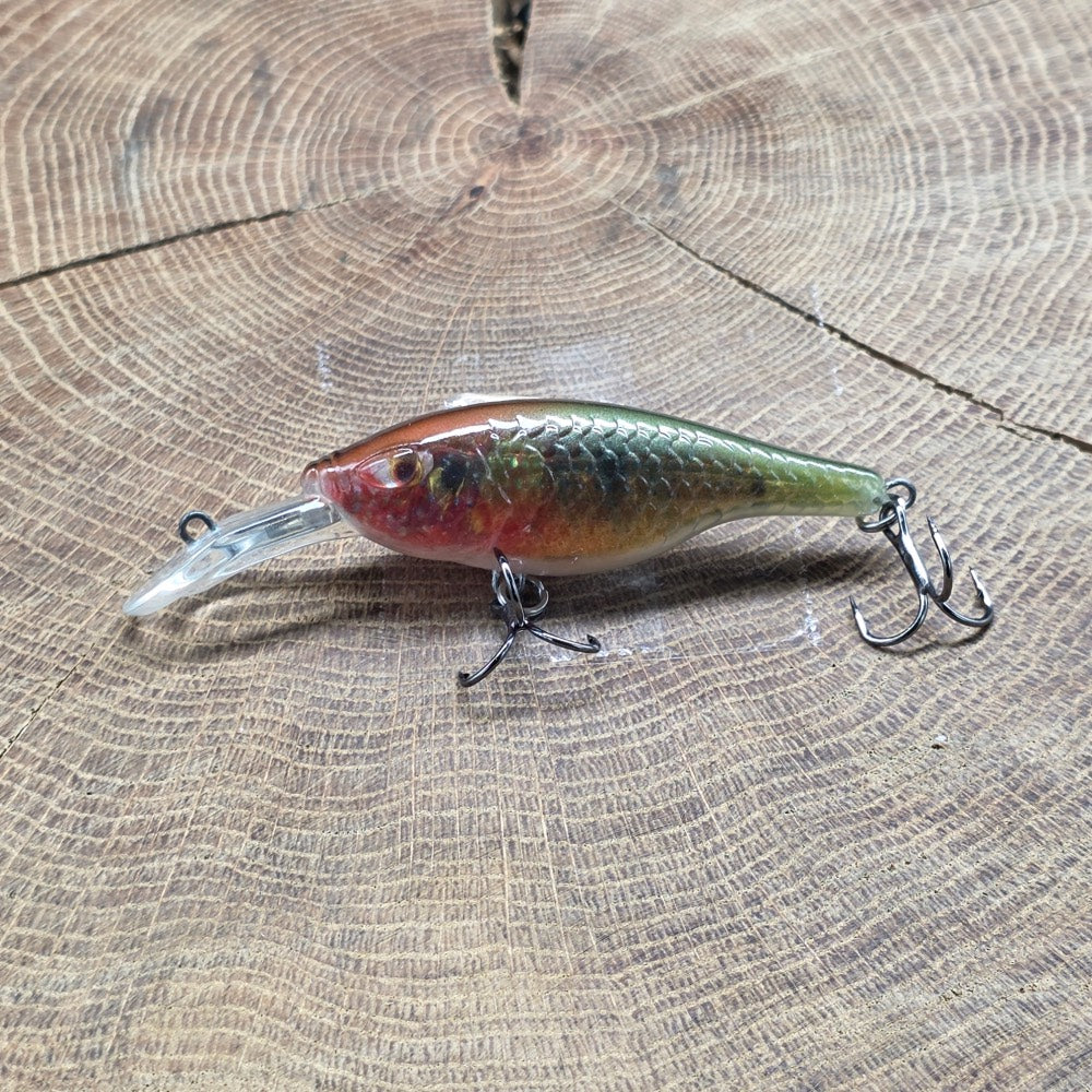 FishTank Charlie Parrot