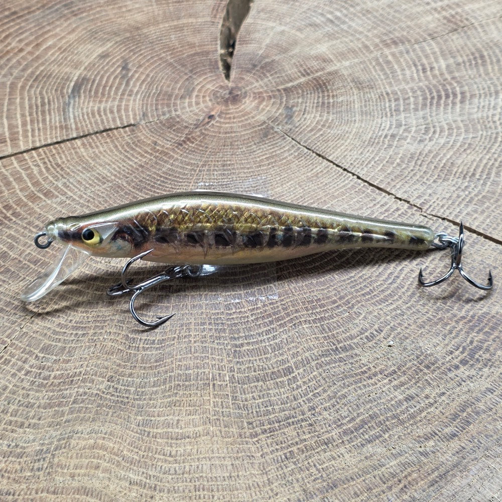 FishTank Delta Orange Panther