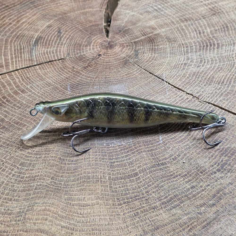 FishTank Delta Striped Green