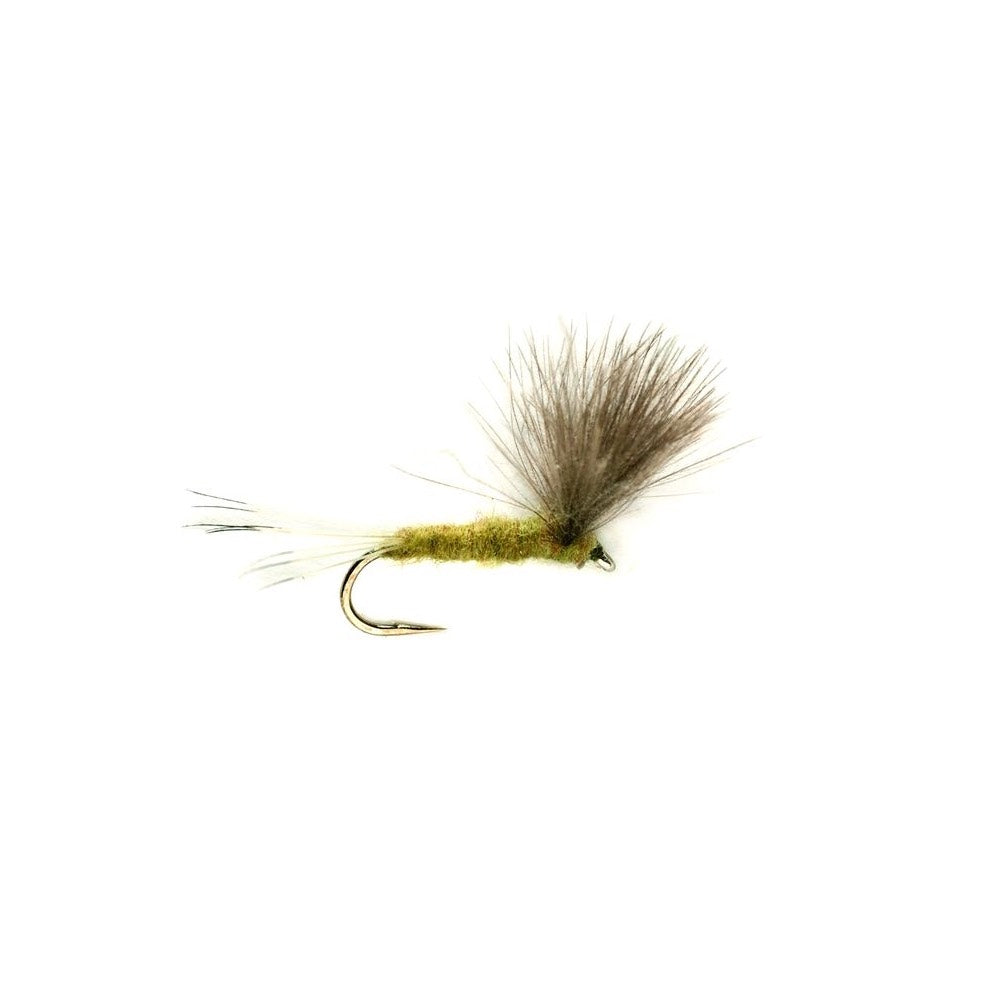 Fulling Mill Compara Olive CDC Winged Dry Fly