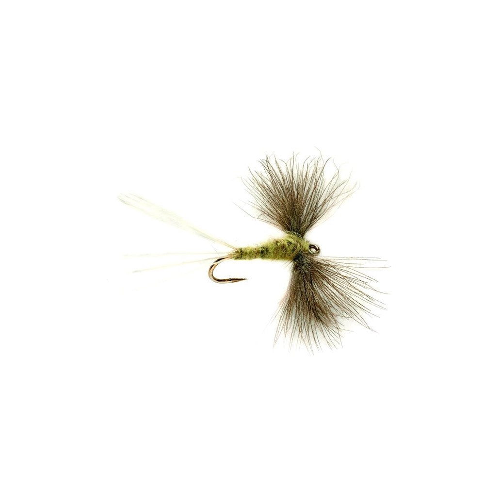 Fulling Mill Olive Spinner CDC Dry Fly