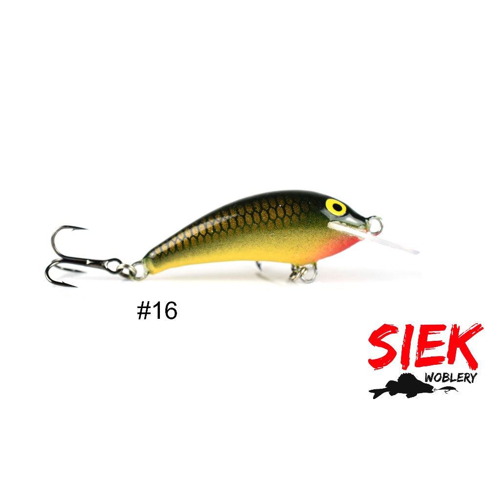 Siek Baczek 16