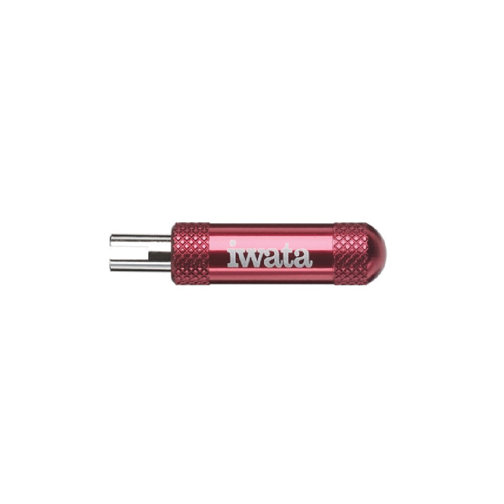 Iwata Professional Airbrush Maintenance Tool Kit