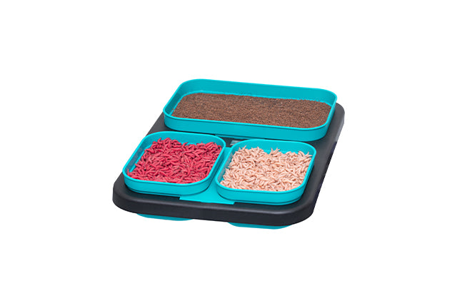 Drennan Bait Set 5 piece Bait Boxes Set detail 5