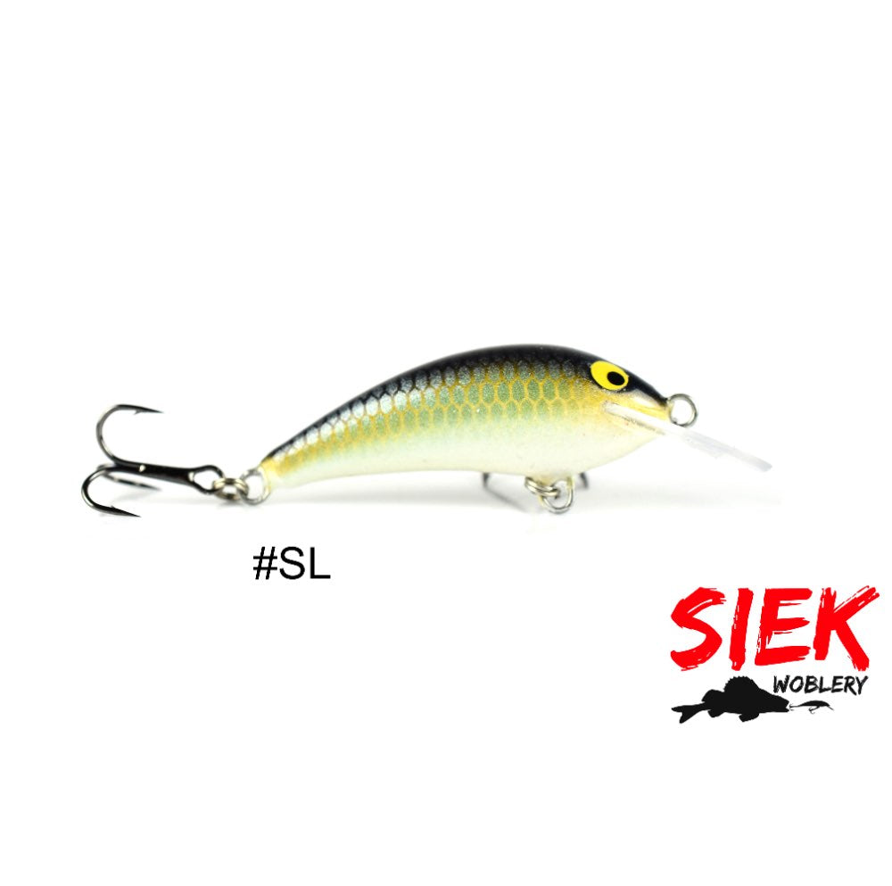 Siek Baczek SL