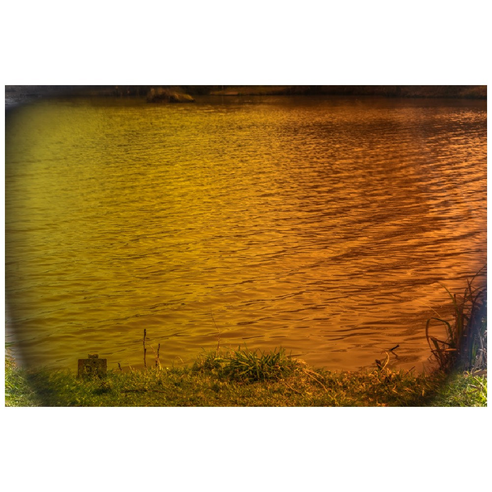 Preston Absolute Wrap Sunglasses Amber Brown