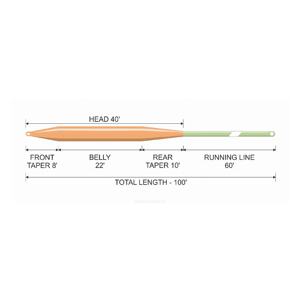 Traper Concept Presentation Fly Line