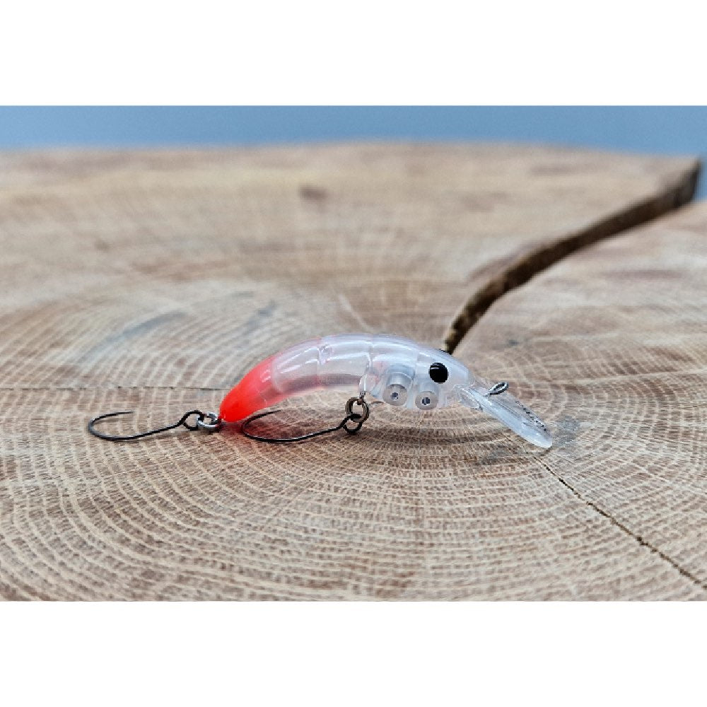 Herakles Moth Trout Eggs Floating