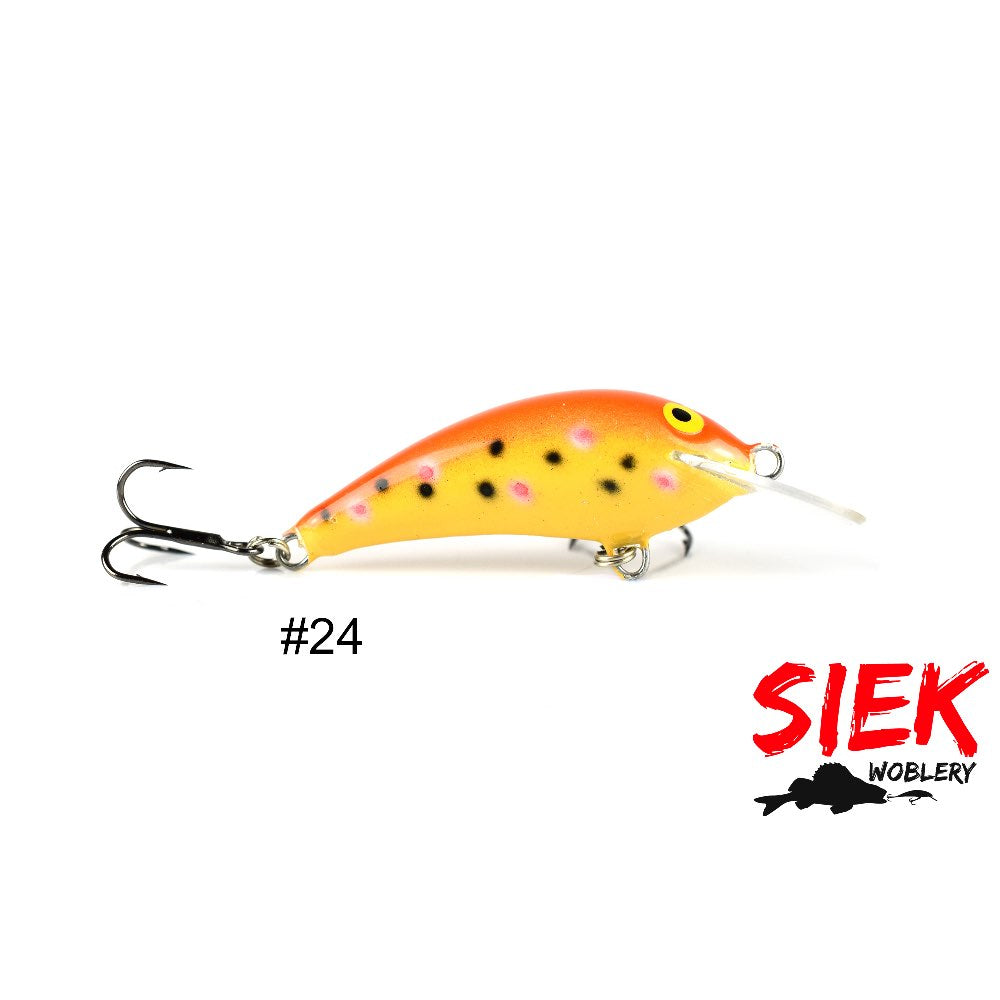 Siek Baczek 24
