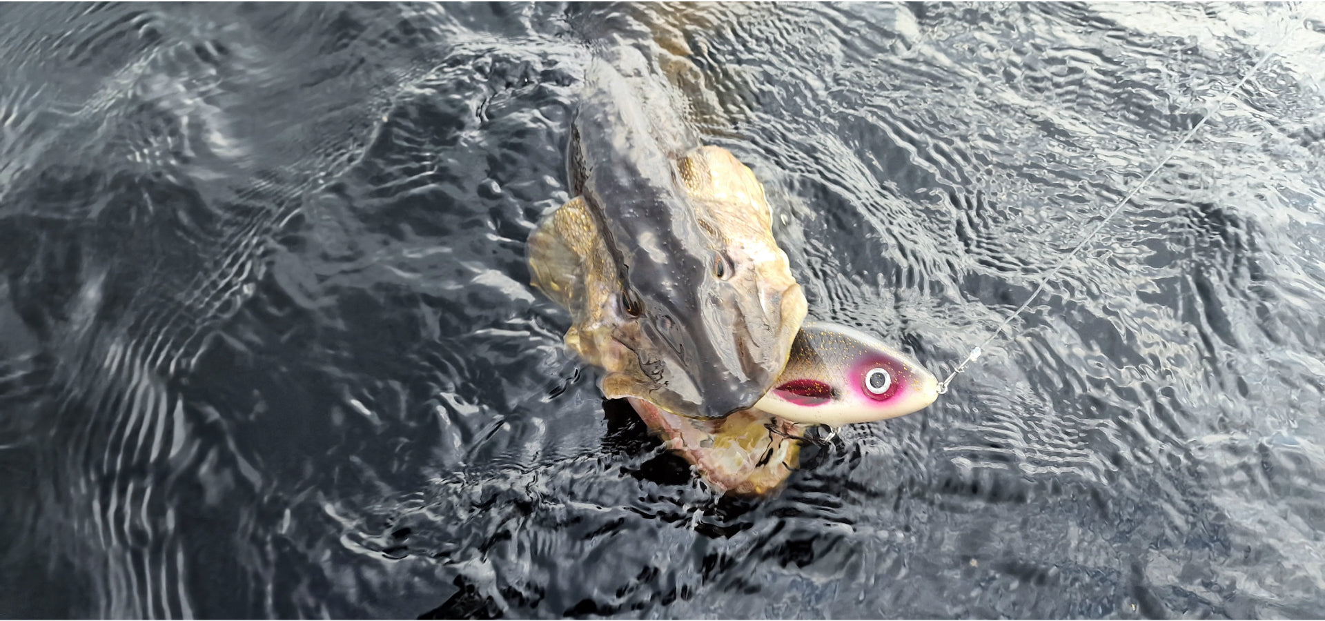 Angling.Pro