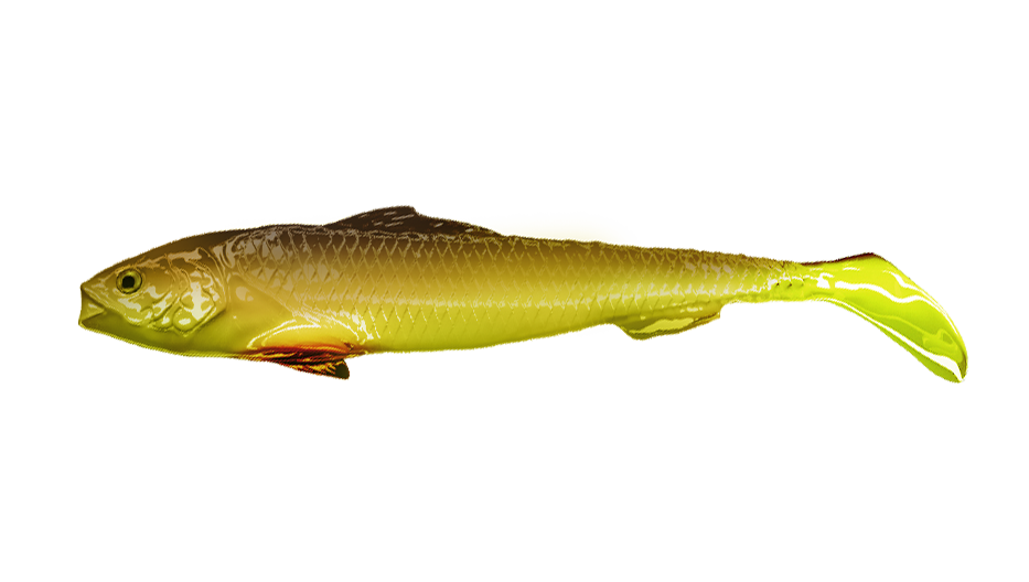 Qubi Lures Sardine Shad Chiken
