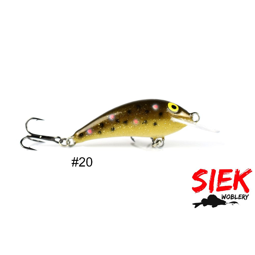 Siek Baczek 20