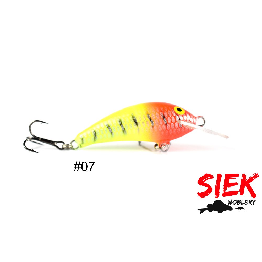 Siek Baczek 07