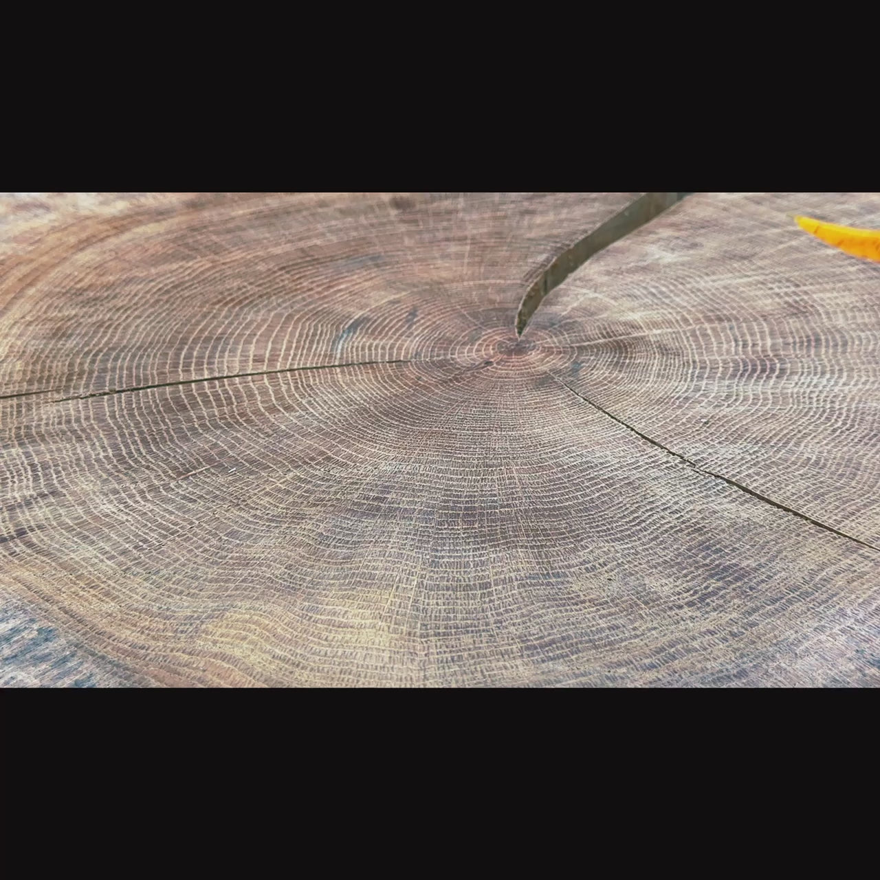 Load video: One 100Plus Lures Sting 13.5cm 125g Royal Roach