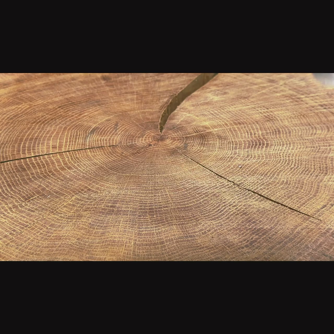 Load video: One 100Plus Lures Sting Black Roach 13.5cm 125g BKK UV Hooks