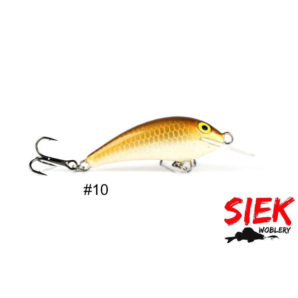 Siek Baczek 10