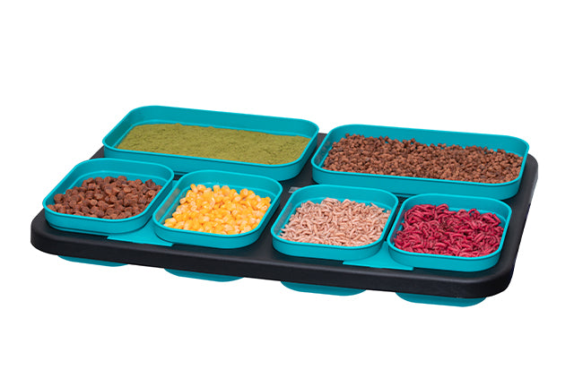 Drennan Bait Set 5 piece Bait Boxes Set detail 4