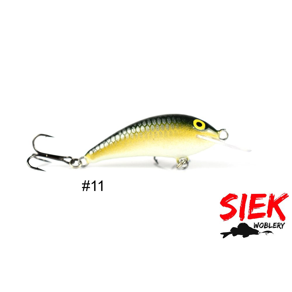 Siek Baczek 11